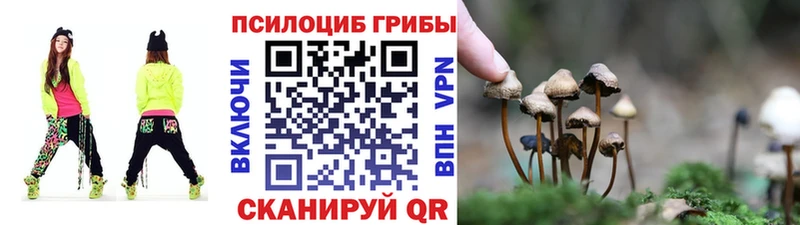 Галлюциногенные грибы Magic Shrooms  Купить закладки  Юрюзань 